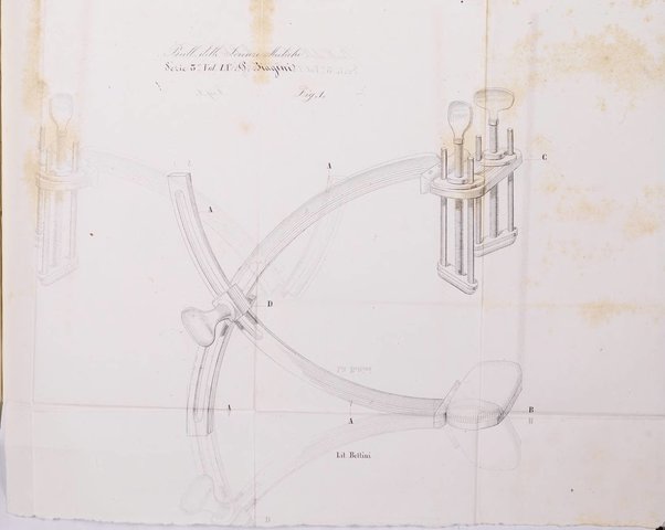 Bullettino delle scienze mediche