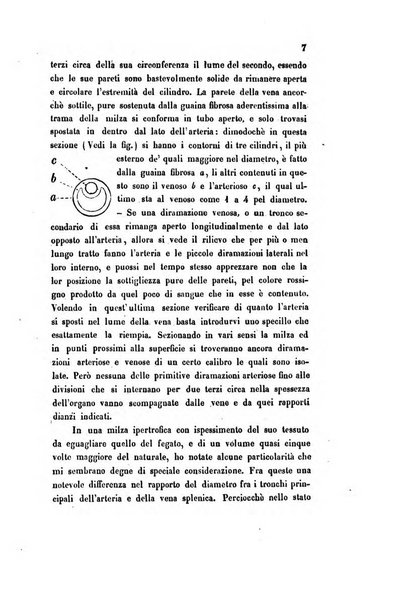 Bullettino delle scienze mediche