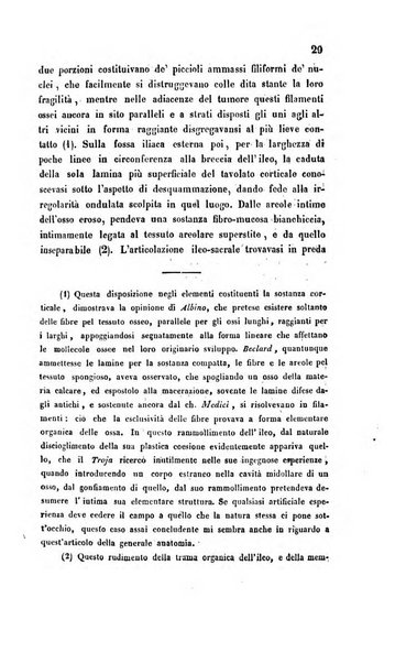 Bullettino delle scienze mediche