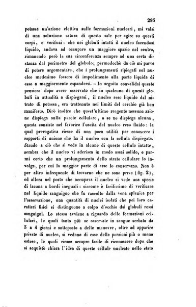 Bullettino delle scienze mediche