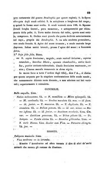 Bullettino delle scienze mediche