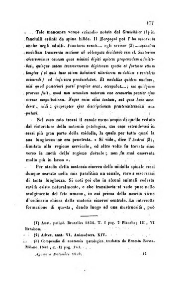 Bullettino delle scienze mediche