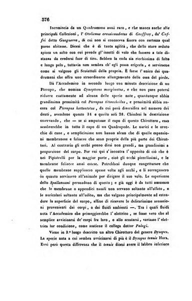 Bullettino delle scienze mediche