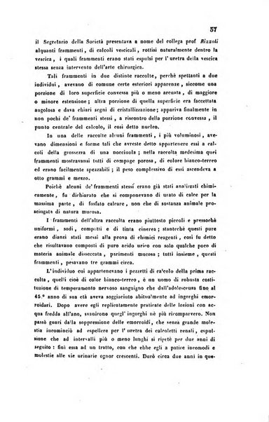 Bullettino delle scienze mediche