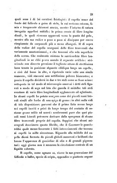 Bullettino delle scienze mediche