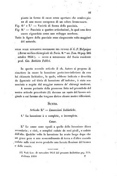 Bullettino delle scienze mediche