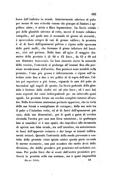 Bullettino delle scienze mediche