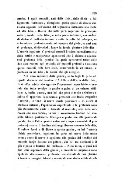 Bullettino delle scienze mediche