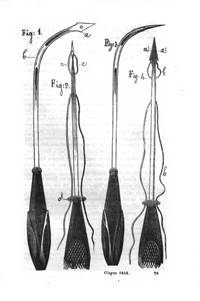 Bullettino delle scienze mediche