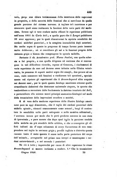 Bullettino delle scienze mediche