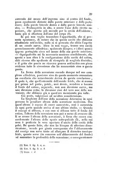 Bullettino delle scienze mediche