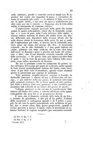 Bullettino delle scienze mediche