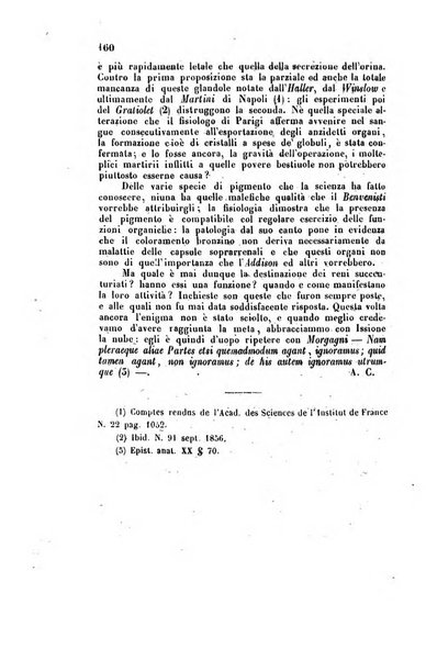 Bullettino delle scienze mediche