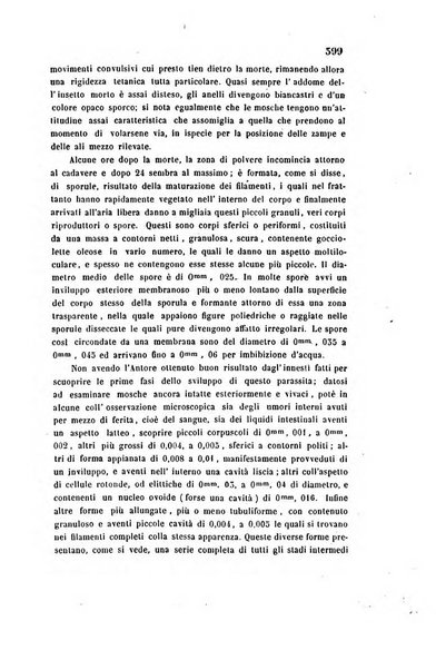 Bullettino delle scienze mediche