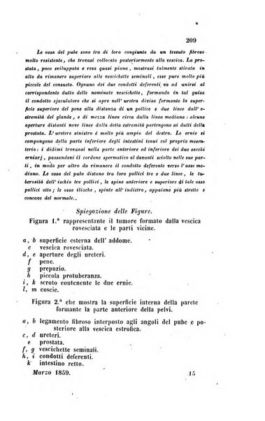 Bullettino delle scienze mediche