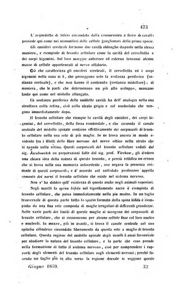 Bullettino delle scienze mediche