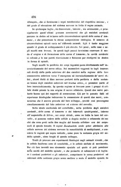 Bullettino delle scienze mediche