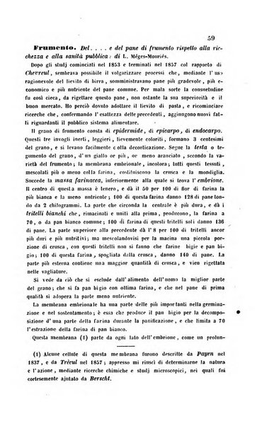 Bullettino delle scienze mediche