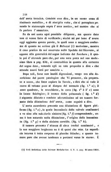 Bullettino delle scienze mediche