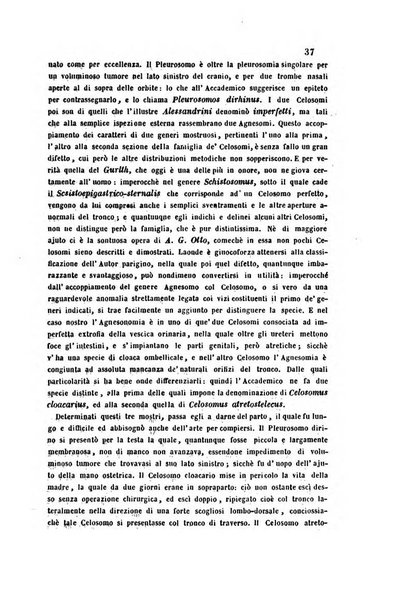 Bullettino delle scienze mediche