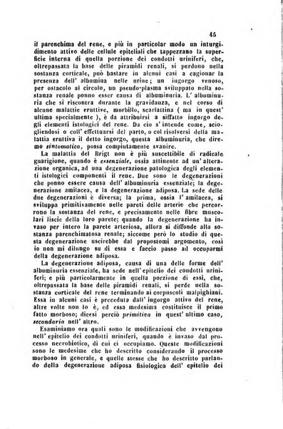 Bullettino delle scienze mediche