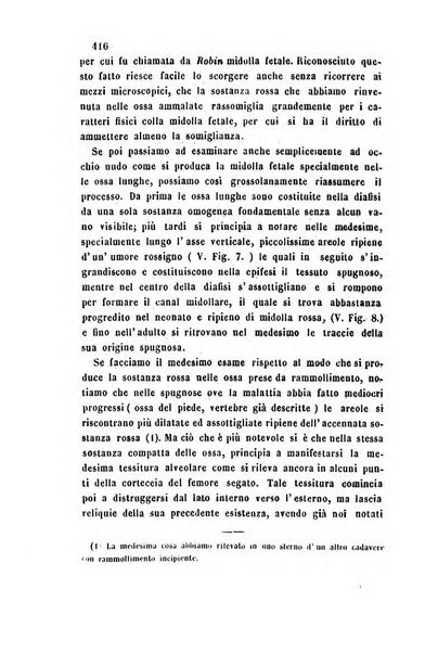 Bullettino delle scienze mediche