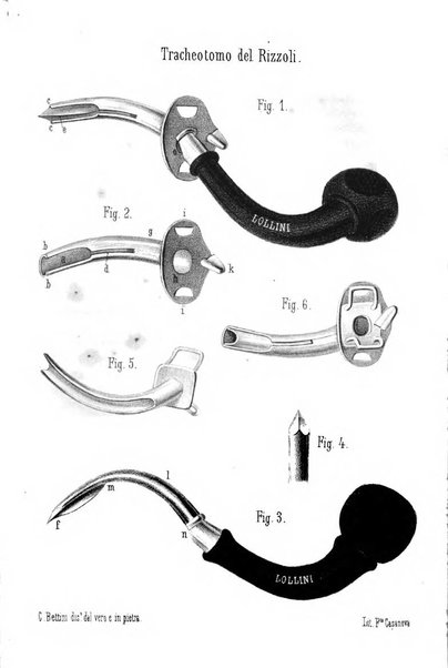 Bullettino delle scienze mediche