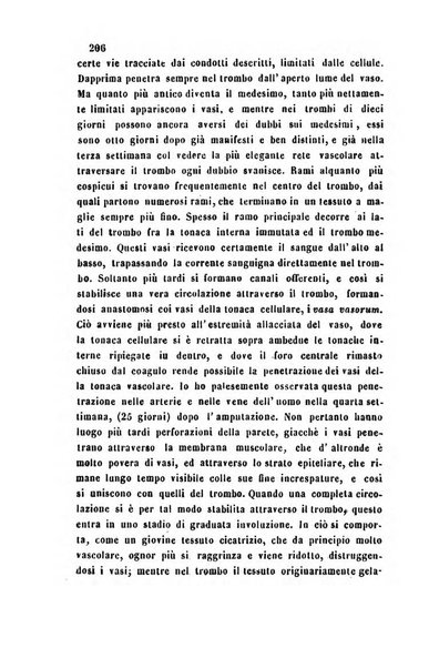 Bullettino delle scienze mediche