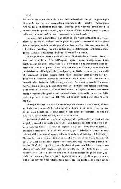 Bullettino delle scienze mediche