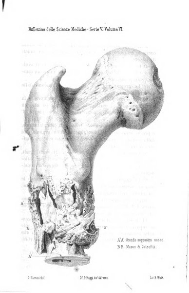 Bullettino delle scienze mediche