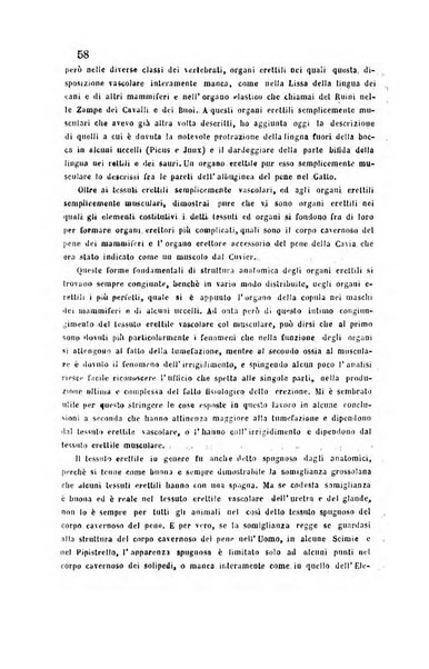 Bullettino delle scienze mediche