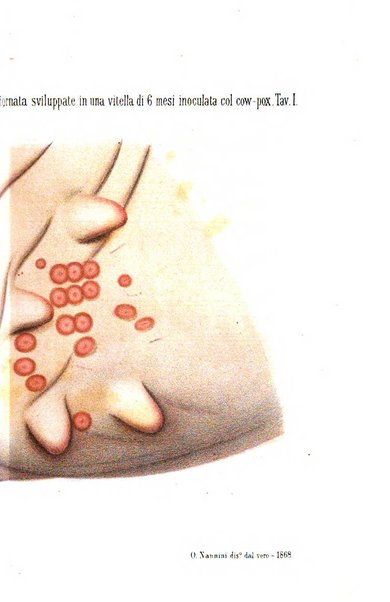 Bullettino delle scienze mediche