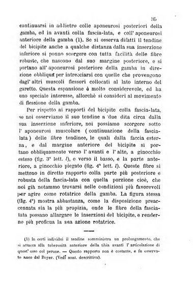 Bullettino delle scienze mediche