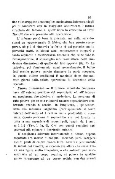 Bullettino delle scienze mediche