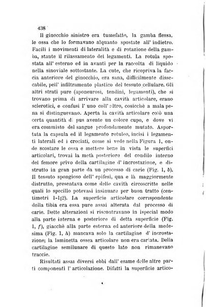 Bullettino delle scienze mediche