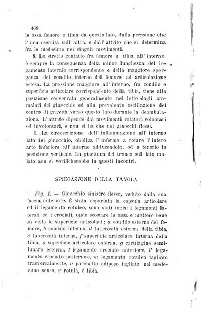 Bullettino delle scienze mediche