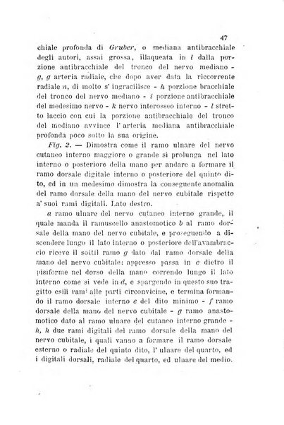 Bullettino delle scienze mediche