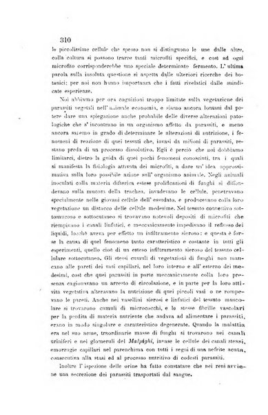 Bullettino delle scienze mediche