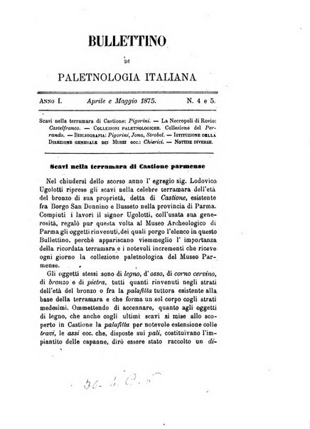 Bullettino di paletnologia italiana