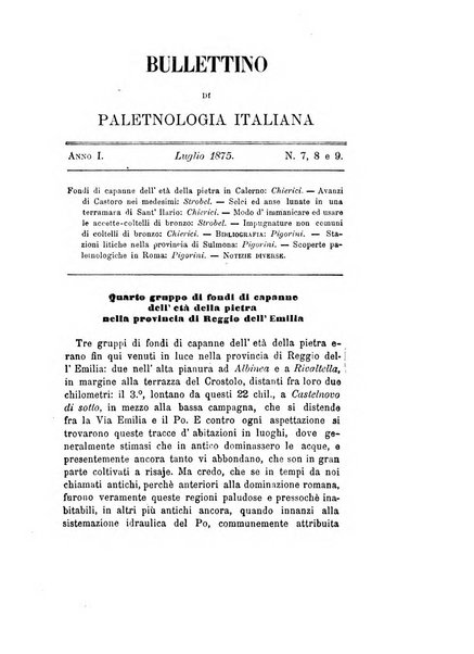 Bullettino di paletnologia italiana