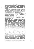 giornale/TO00180507/1876/unico/00000045