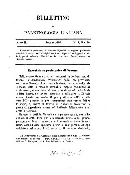 Bullettino di paletnologia italiana