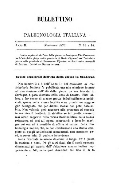 Bullettino di paletnologia italiana