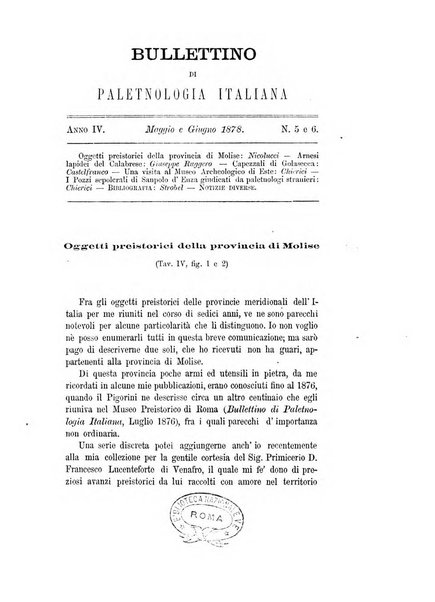 Bullettino di paletnologia italiana