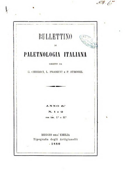 Bullettino di paletnologia italiana