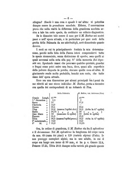 Bullettino di paletnologia italiana