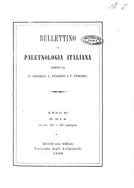 Bullettino di paletnologia italiana