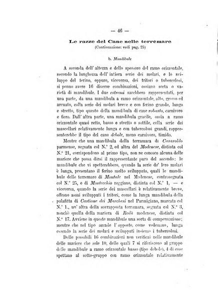 Bullettino di paletnologia italiana