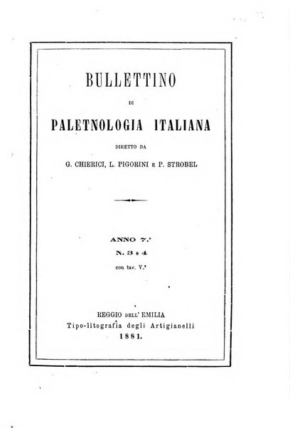 Bullettino di paletnologia italiana