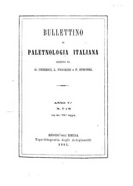 Bullettino di paletnologia italiana